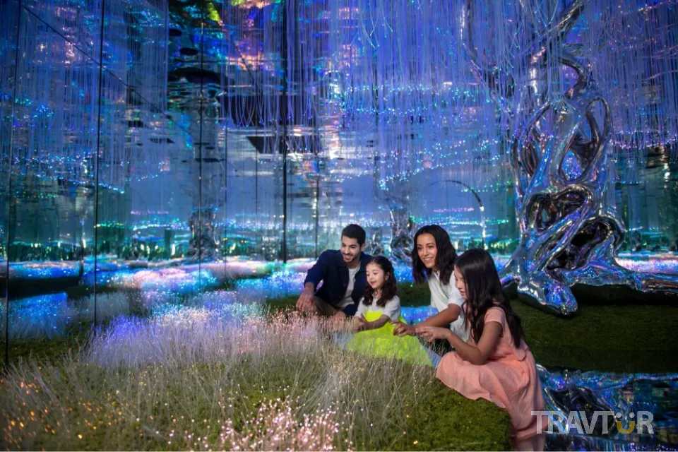 Dubai in October and November tour - Dubai City Tour with AYA Universe Ticket