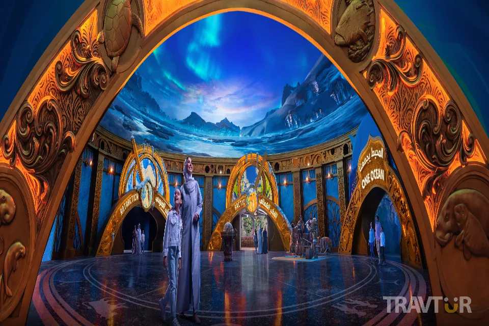 Dubai in October and November tour - Abu Dhabi City Tour with SeaWorld Ticket from Dubai
