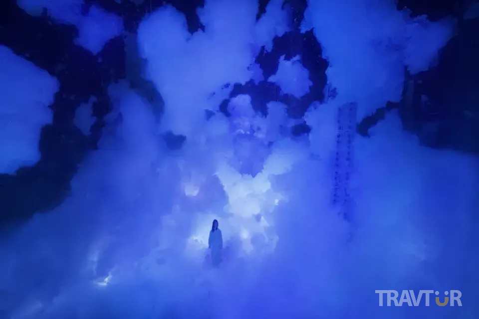 teamLab Phenomena Abu Dhabi experience