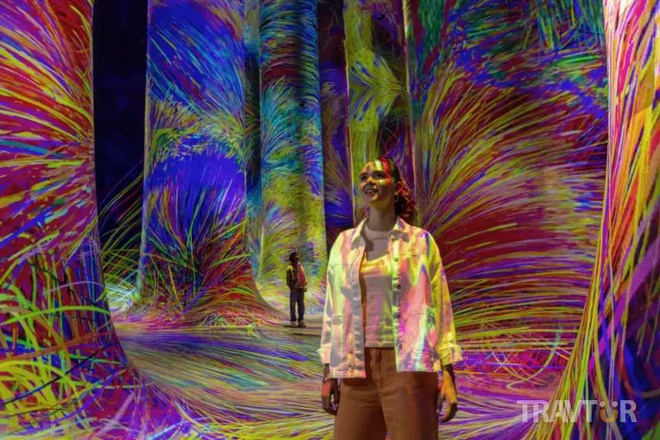 Dubai in October and November tour - Abu Dhabi TeamLab Phenomena Tour from Dubai