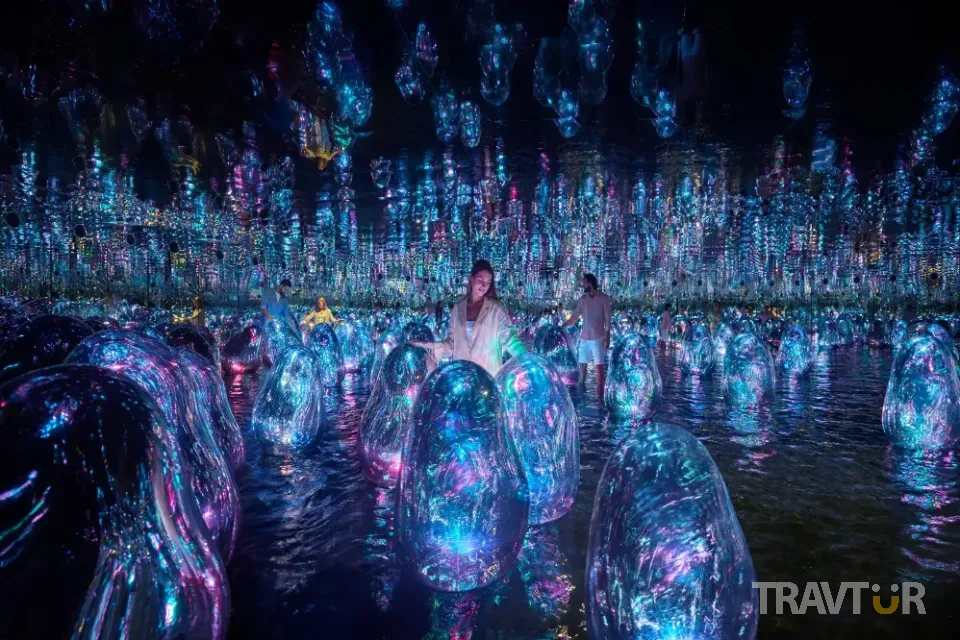 teamLab Phenomena digital art